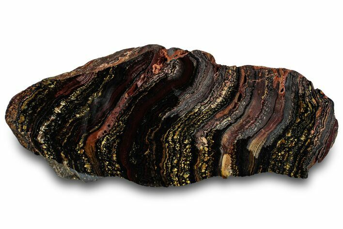 Polished Tiger Iron Stromatolite Slab - Billion Years #319426